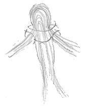 pap1