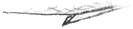 pz2