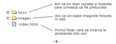 struct_dir_1