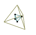 tetra-tetra_anim