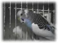tn_poza6