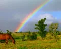 tn_rainbow4